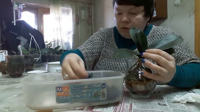 МИНИ МАРК посадка в З/С. смотреть онлайн