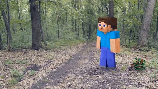 Top 5 Real Life : Love story - Minecraft Animation смотреть онлайн