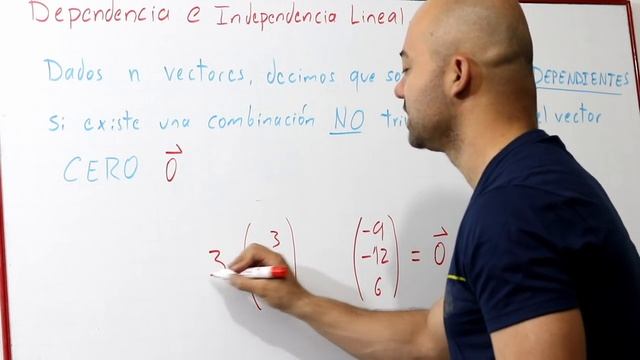 Dependencia e Independencia Lineal | Vectores | Álgebra Lineal смотреть онлайн