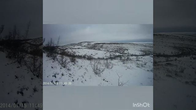 Охота на зайца с семимесячным выжлецом русской гончей.Добыли зайца. смотреть онлайн