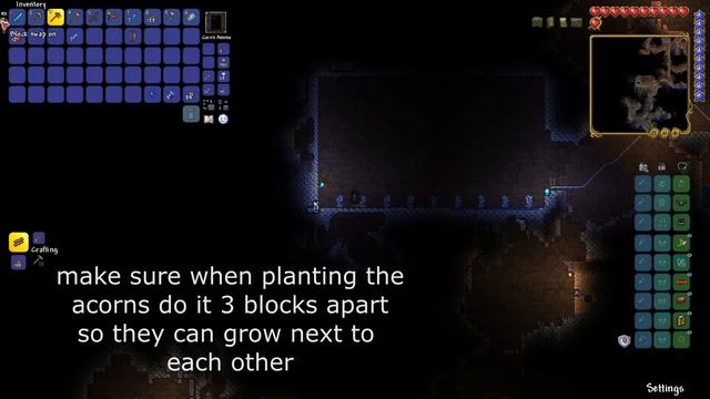 Terraria 1.4.1 | How to Make a Gem Tree Farm | Unlimited Money! смотреть онлайн