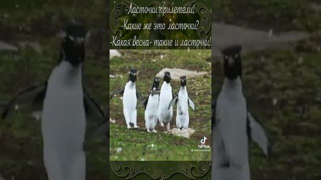 Весна, ласточки прилетели смотреть онлайн