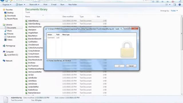 SVN Revert, Getting Locks смотреть онлайн