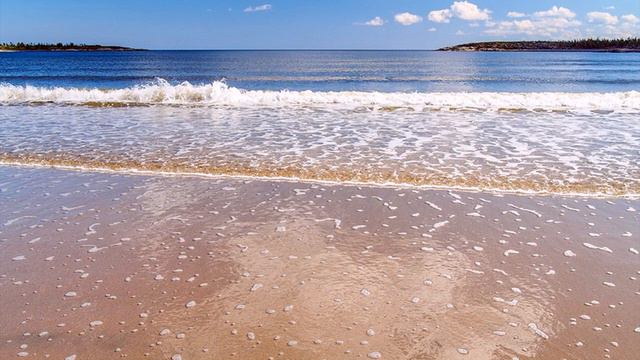 БЛЮЗ БЕЛОГО МОРЯ смотреть онлайн