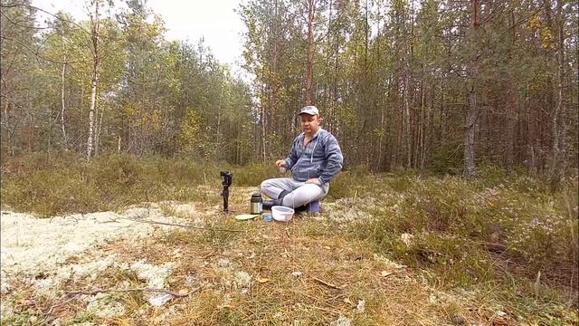 ГРИБ ПОПЁР! ВЕСЬ ДЕНЬ В ЛЕСУ! Медведи. Вырубка деревьев. Лесной обед. Северная природа Беларуси смотреть онлайн