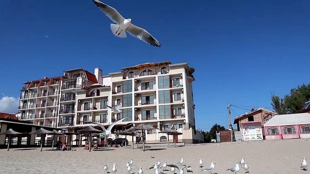 Отдых на море, бархатный сезон, Затока 2020, ловим рыбу на лимане смотреть онлайн