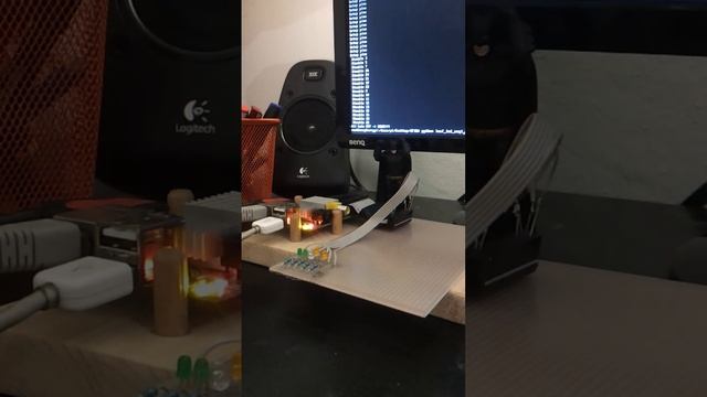 Raspberry Pi - GPIO - lauf_led смотреть онлайн