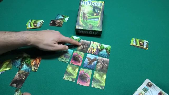 how to play Ecosystem смотреть онлайн