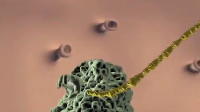 Sars And Coronavirus Documentary | Beyond The Science #documentary  #pandemic