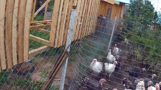 ПРОЕКТ "Индюки 150", БУДУЩИЕ ПОКУПКИ, СТРОЙКА, ОГОРОД // ХОЗЯЙСТВО в ДЕРЕВНЕ смотреть онлайн