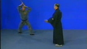 Самурайское ханбодзюцу. Техника ударов. Ч 2.