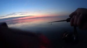 Судак на воблер. Ночной судак. Судак на Волге. Судак в Саратове