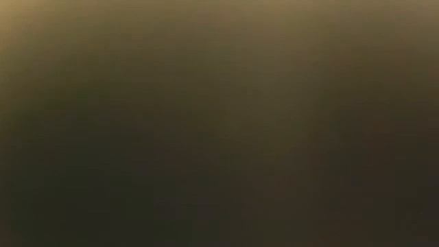 Видео с веб-камеры. Дата: 3 декабря 2013 г., 16:02.