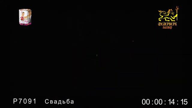 Фейерверк Свадьба 1,2 х19 Р7091ФМ смотреть онлайн