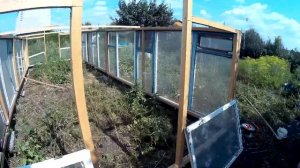 Теплица из рам своими руками  часть 1