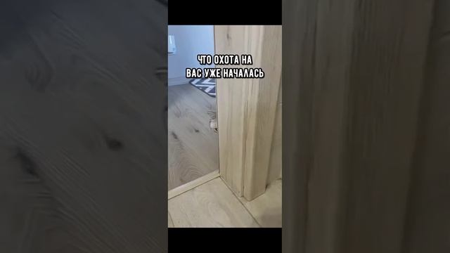 как понять что кот хочет тебя убить смотреть онлайн