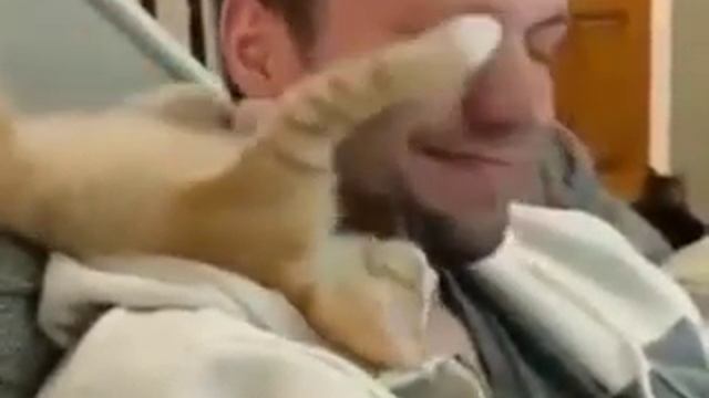Немножко любви от нашых любимых животных посвящается им. смотреть онлайн
