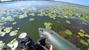 Тохатсу 9.8 первые 100 часов. Мои рекомендации.