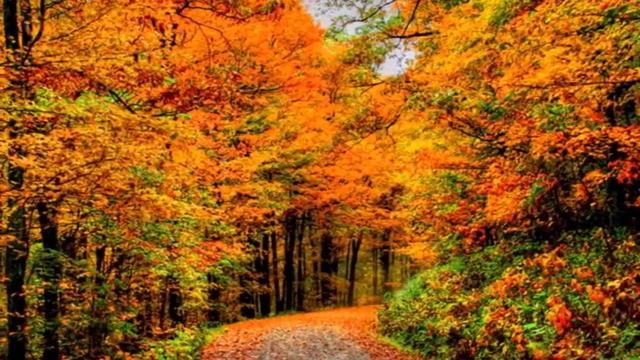 Ф. И. Тютчев. "Осенний вечер" смотреть онлайн