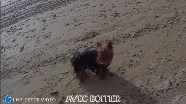 CROSSTOUR CT9500 - CAMERA SPORT 4K 20 MP WIFI смотреть онлайн