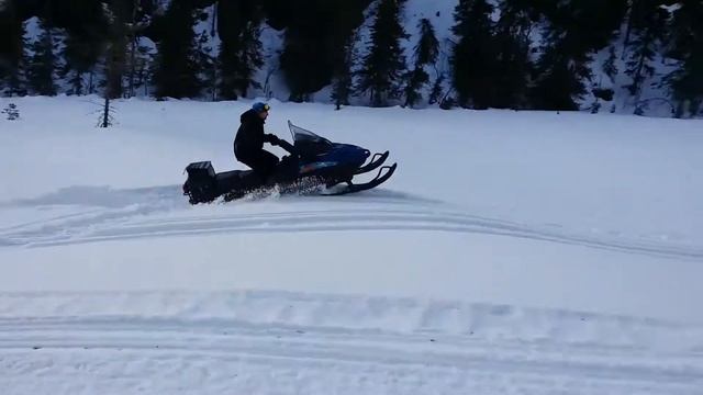 Forest Fox big air смотреть онлайн