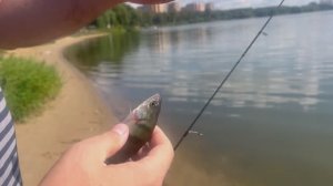 Оснастка нано дроп-шот и ее рекорды ?