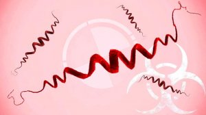 ДЕГРАДАТОР 228: СЕКРЕТНАЯ РАЗРАБОТКА ► Plague Inc Evolved |8|