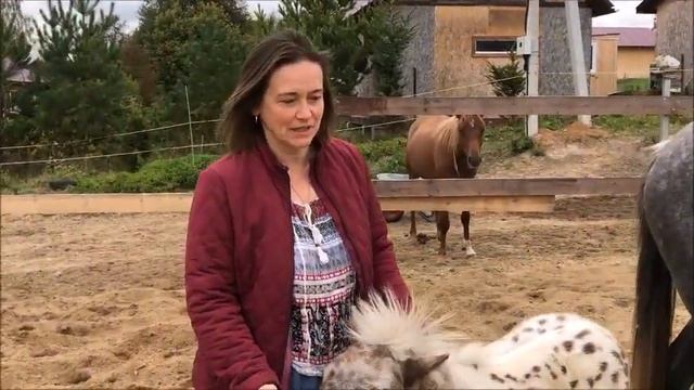 Экскурсия по подворью Весёлая Семейка смотреть онлайн