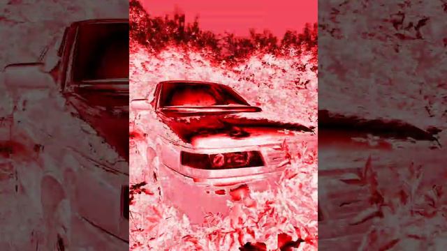Бодя Мир642 х Dewensoon - Таро