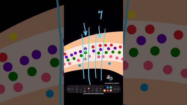 Наращивание ресниц по ряда. Моделирование и схемы в наращивании ресниц