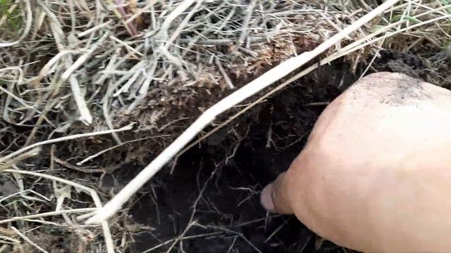 МеталлоКОП 2021 первый раз копаем чермет собираем металлолом поиск с металлоискателем смотреть онлайн