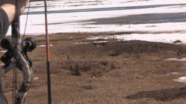 Archery Gopher Hunt *30+ Kills* смотреть онлайн