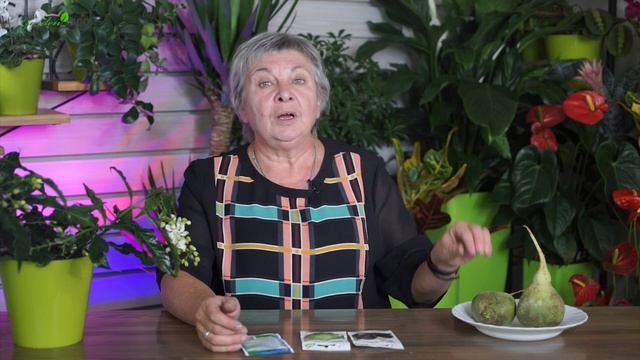 Спортивные Упражнения и Тренировки