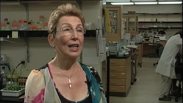 Professor Natasha Raikhel on Genomics Building смотреть онлайн
