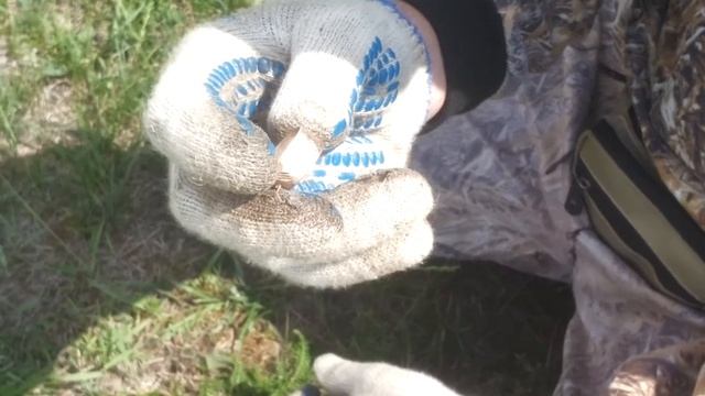 Куча монет,охеренное кольцо и куча говна).В Поисках Клада в Сибири! смотреть онлайн