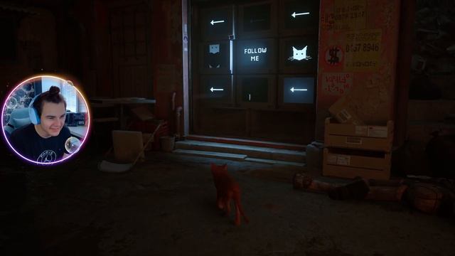 КАК ЭТО АТМОСФЕРНО! КОТИК "FOLLOW ME" ► STRAY ПРОХОЖДЕНИЕ #1 смотреть онлайн