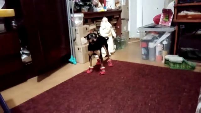 Сапожки для Ялты смотреть онлайн
