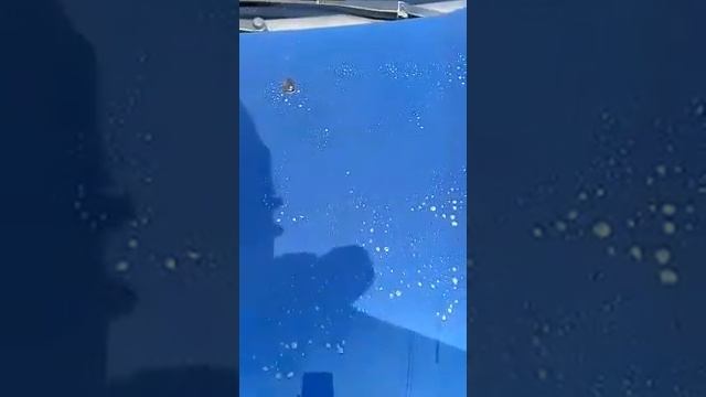 Чем отмыть полировочную пасту с машины? Один из вариантов, средство от жира Фармаси! смотреть онлайн