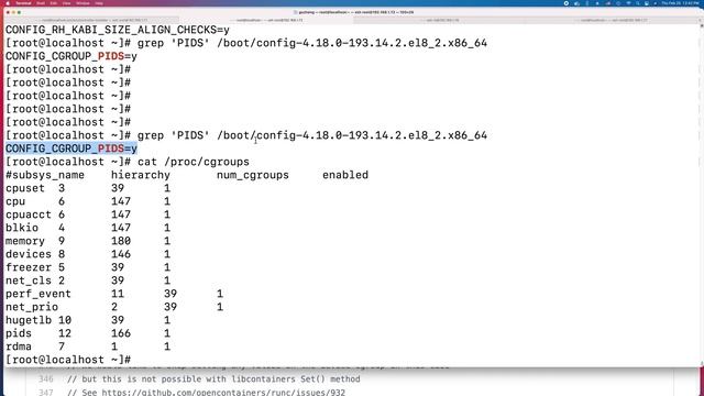 Kubernetes Kubelet Kernel Cgroup PIDs - Nginx controller fail to start смотреть онлайн