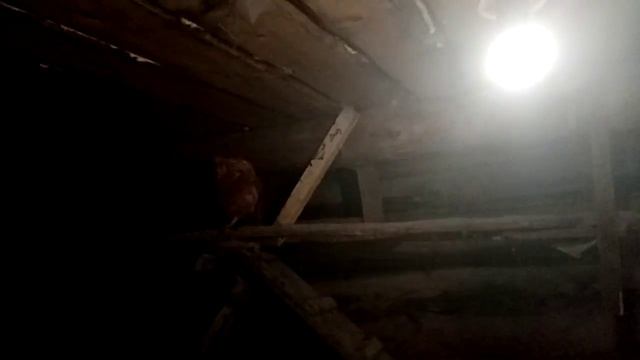 Бюджетная идея//Зимний курятник//Уютное куриное жилище// смотреть онлайн