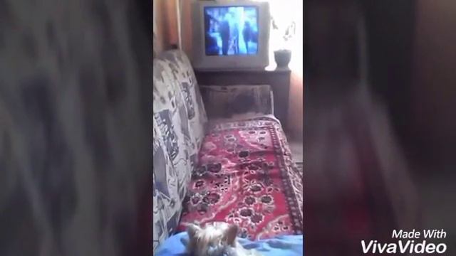 Что Фрося делает в свободное время...