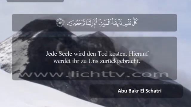 161 / Juz 21 / Die Spinne (46-69) / Abu Bakr El Schatri смотреть онлайн