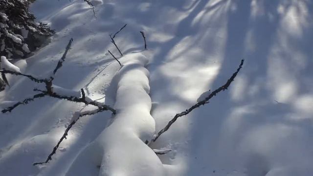 Скитур. Фрирайд. Большой Кумардак. 1 января. смотреть онлайн