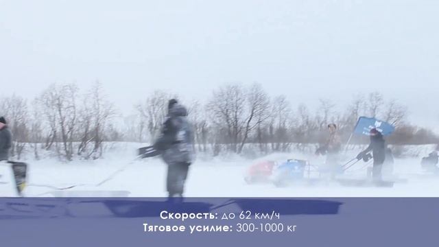 Мотобуксировщики POMOR смотреть онлайн