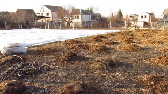 Накрываем клубнику белым агроволокном. 2020.03.01. смотреть онлайн