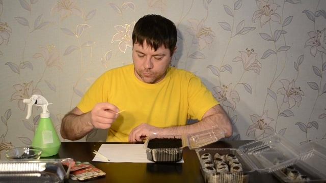 ПОСЕВ КЛУБНИКИ (ЗЕМЛЯНИКИ) СЕМЕНАМИ РАЗНЫМИ СПОСОБАМИ! смотреть онлайн