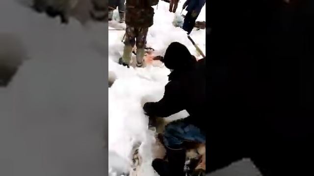 Очень много налима смотреть онлайн