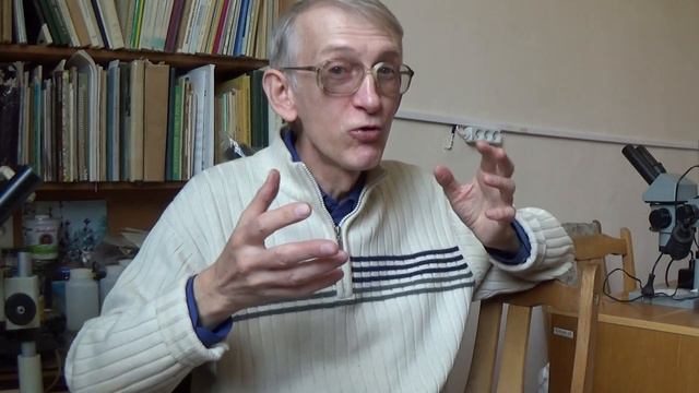 Проблемы Пчеловодства в Украине. Часть-1. День Пчел. Интервью. смотреть онлайн