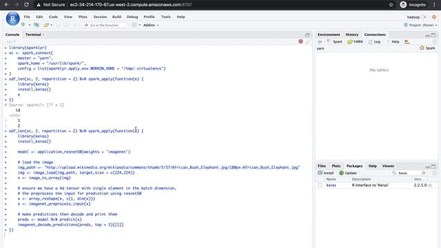 Image classification with TensorFlow and Spark смотреть онлайн