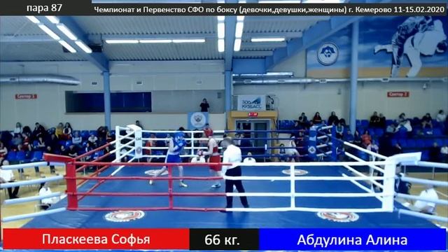 Чемпионат и Первенство СФО по боксу (девочки, девушки, женщины) 11-15.02.2020 г. Кемерово смотреть онлайн
